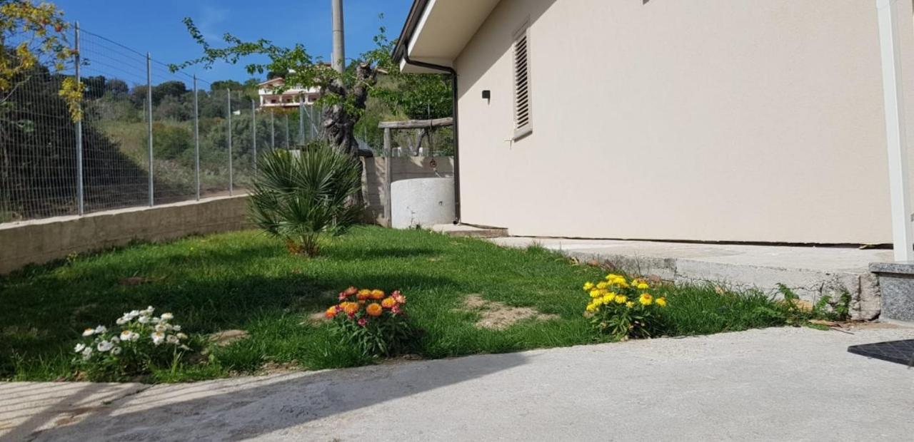 Villa Alice Capo Vaticano Ngoại thất bức ảnh
