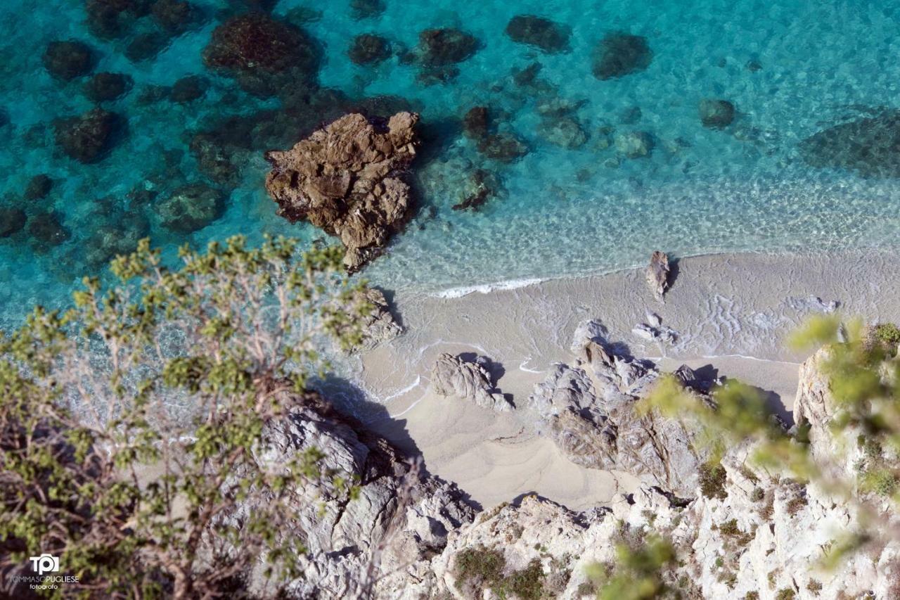 Villa Alice Capo Vaticano Ngoại thất bức ảnh