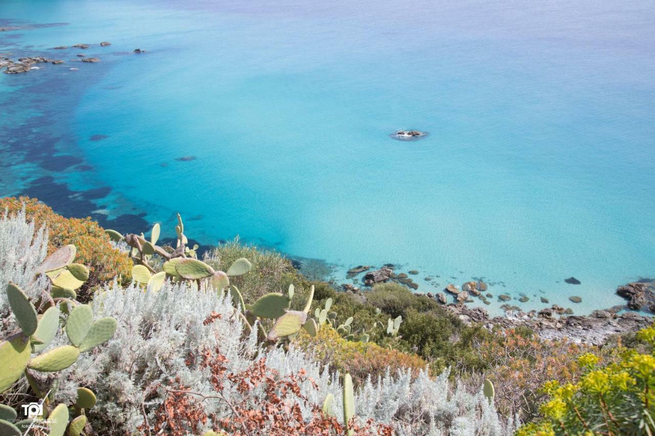 Villa Alice Capo Vaticano Ngoại thất bức ảnh